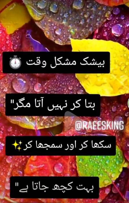 Bilkul 💯💯🙄😊