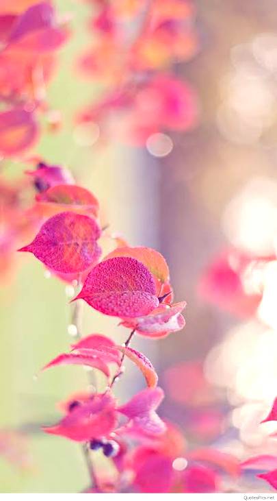 colour of LIFE