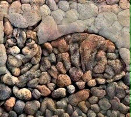 Beautiful art of cat