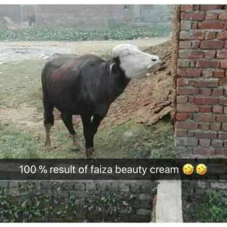 100% Result