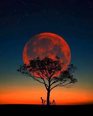 Beauty of nature