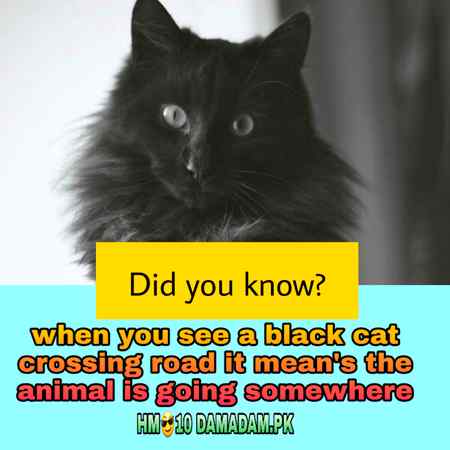 Important information