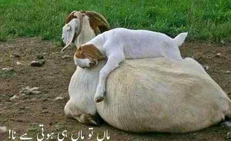 maa to maa hi hoti .love u my mom
