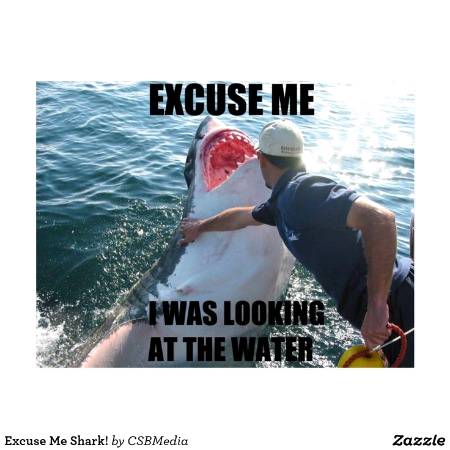 Excuse me...😹😹😹