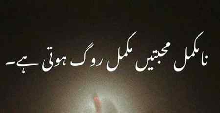 🍁🍂🍃🍁🍂🍃 ri8