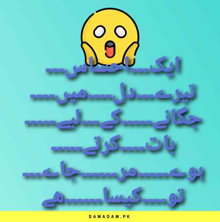 ❤❤❤🌷❤❤❤🌷❤❤❤❤🌷🌷