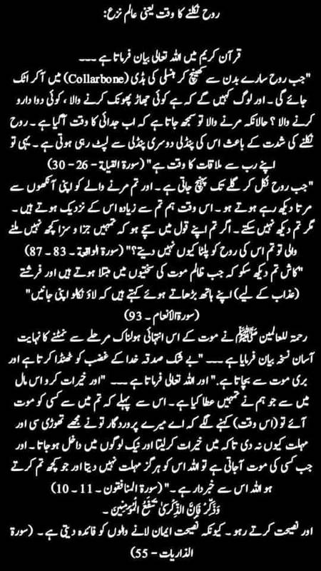 🌹🌹🌹صلی اللہ علی حبیبہ محمد نور من نوراللہ وعلی آلہ واہل بیتہ وعترتہ وازواجہ وصحبہ وجدہ وذریتہ و کل امتہ وبارک وسلم کثیراً کثیرا و دائماً ابدا 🌹🌹🌹