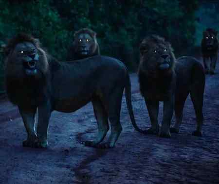 These lions at night almost look like a painting