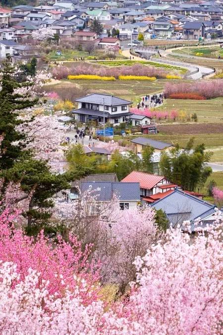Fukushima/Giappone