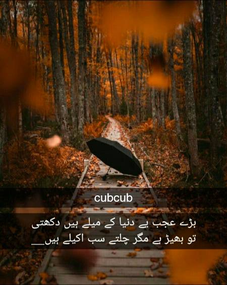True lines