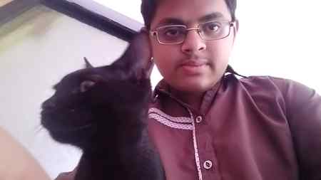 My Cat 🐱