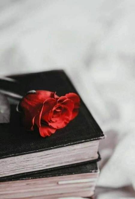 تجھ کو چاہت ہے وفا کی تو مجھے غور سے پڑھ
وہ کتابوں میں کہاں ہے جو لکھــــا ہے مجھ میں