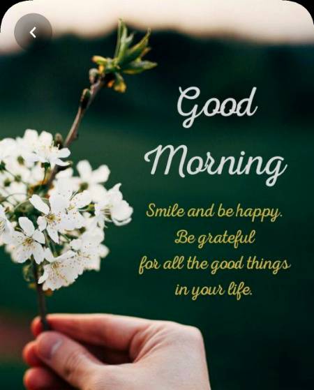 Assalam-u-Alaikum