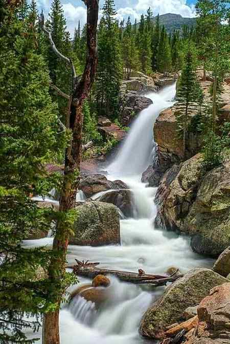 ☆☆Alberta falls | Colorado ☆☆