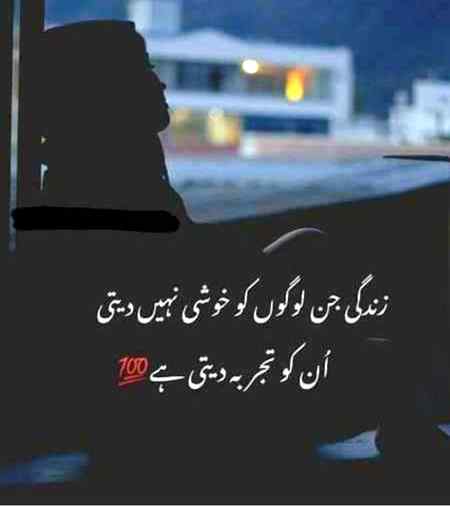 : ہم تو خُود سے بچھڑے ہوئے لوگ ہیں تم سے کیا مِل پائیں گ3