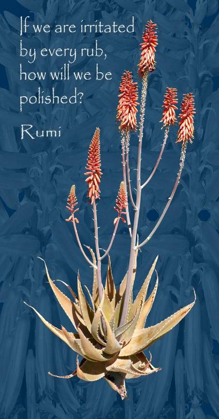 RUMI'S WORDS