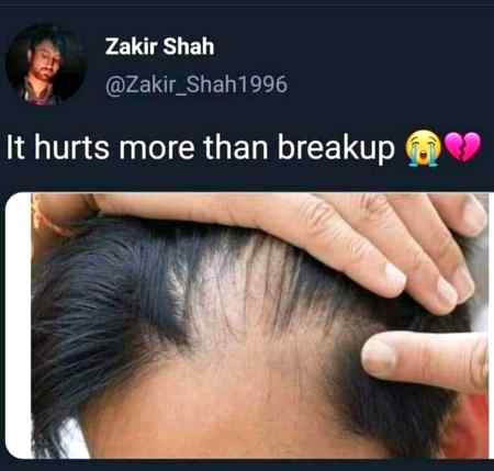 Memes & Satire image