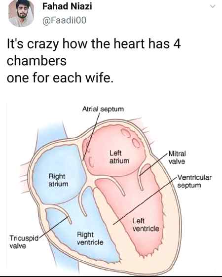 Memes & Satire image