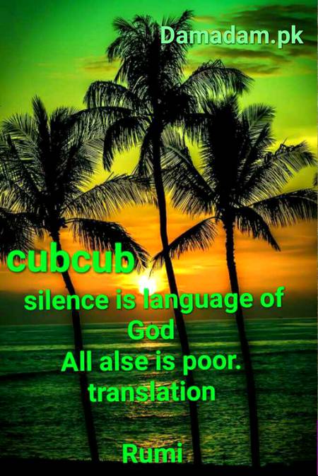 Rumi's words
