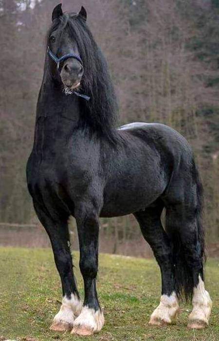 Beautiful photography