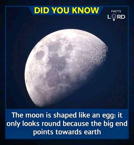Unbelievable facts 💥💥