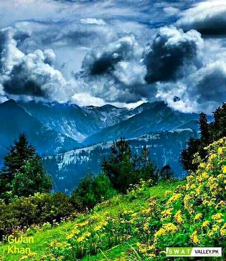 Awesome view the siri paye meadows ,shogran ,swat valley, Pakistan