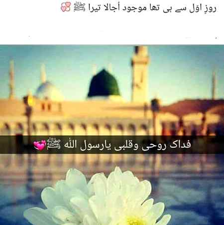 Haqeeqat may wo lutfay Zindagi paaya ñhe krtay Jo Yaad e Mustafa say Dil ko bahlaya nhe krtay Allah Hafiz all .