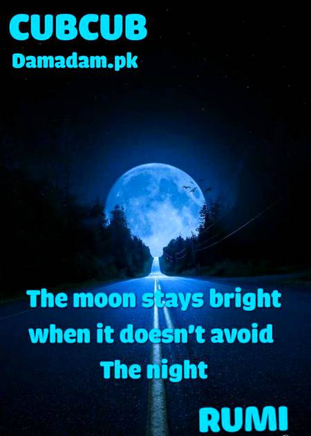 RUMI'S WORDS