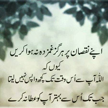 Bilkul saii