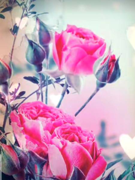 Good mornig