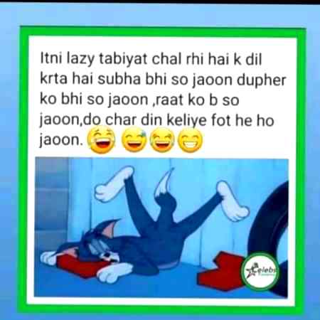 Qsm se mera to yhi haal