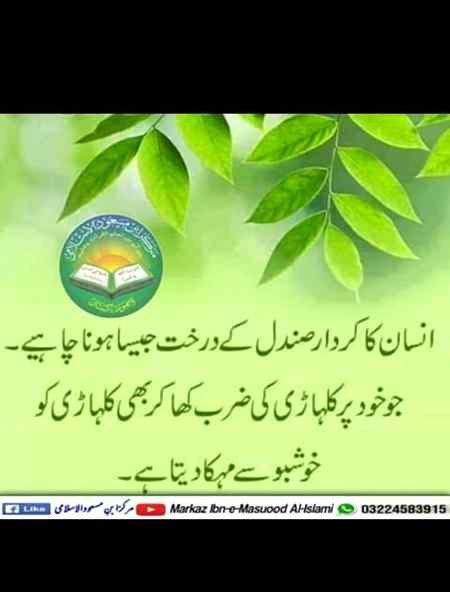 Bilkul right
