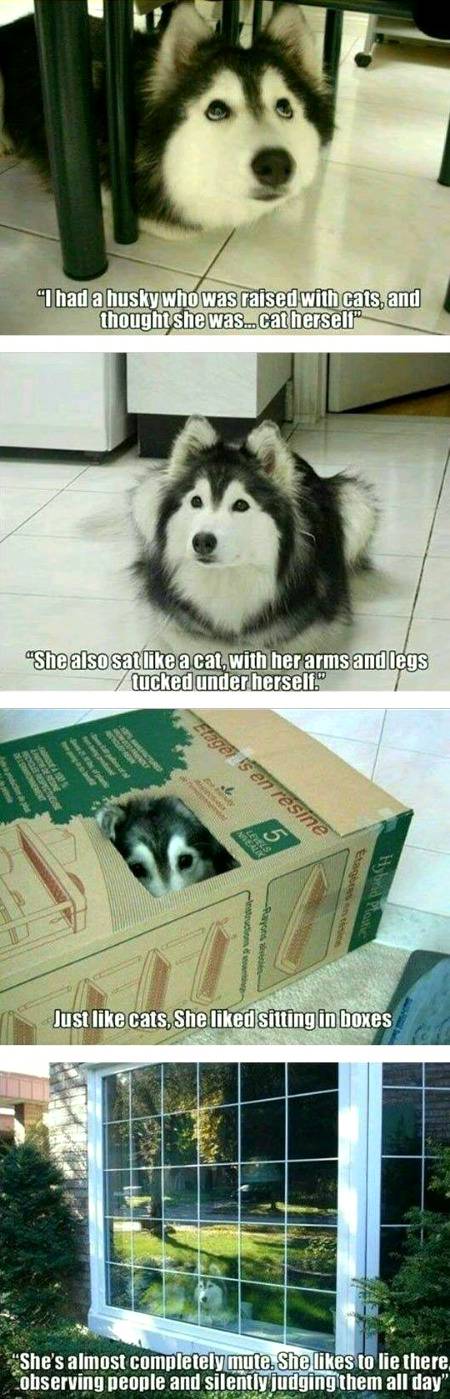 It's really cute...😍😍😍