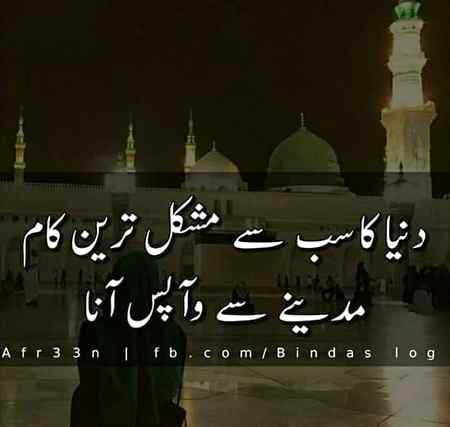 🌸🌸Bilkul sahi🌸🌸