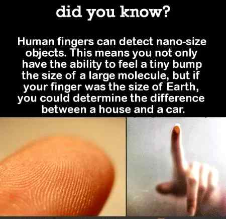Did u know?