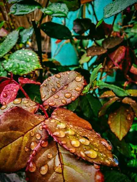 Usy bta dena us ki zindagi thy tum ... ☺ usy y bhi bta dyna ky bila akhir mar gya ha koi  🔥