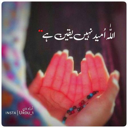Yaqeen ha😉😀
