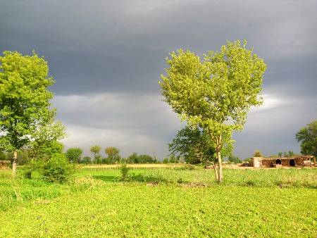 اب یاد رفتگاں کی بھی ہمت نہیں رہی ۔
یاروں نے کتنی دور بسائ ہیں بستںیاں