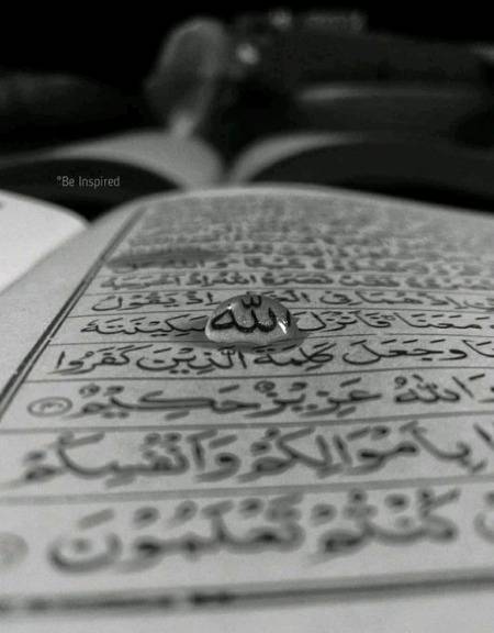 🌹Indeed Allah is my Lord and your Lord,so Worship him.
That is the straight path🌹