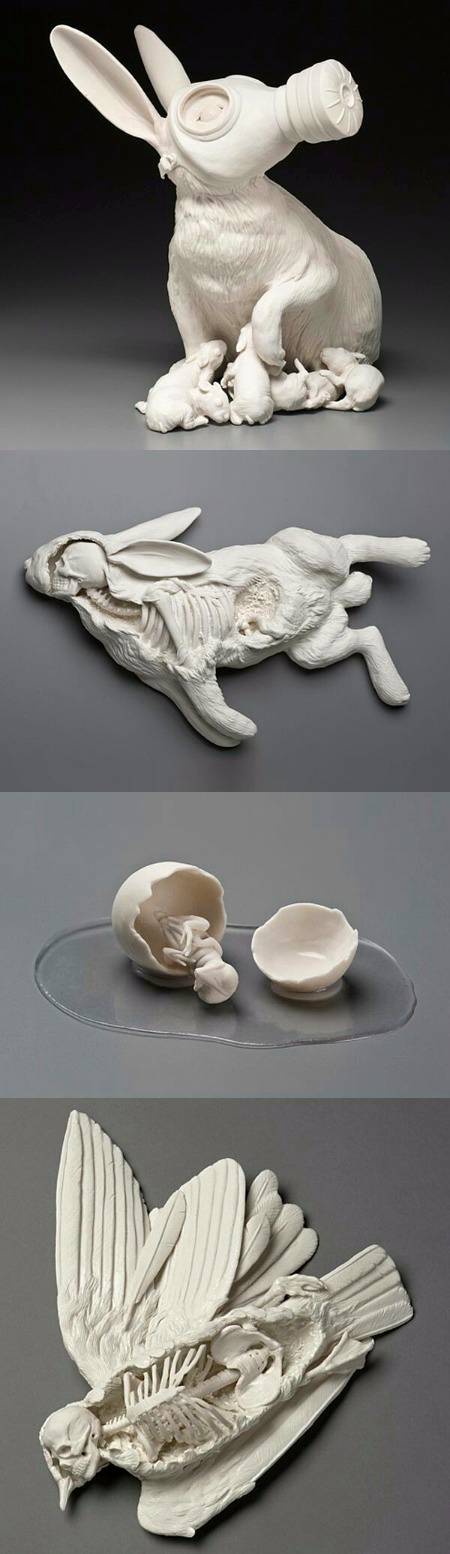 Beautiful and thought_provoking porcelain  sculptures