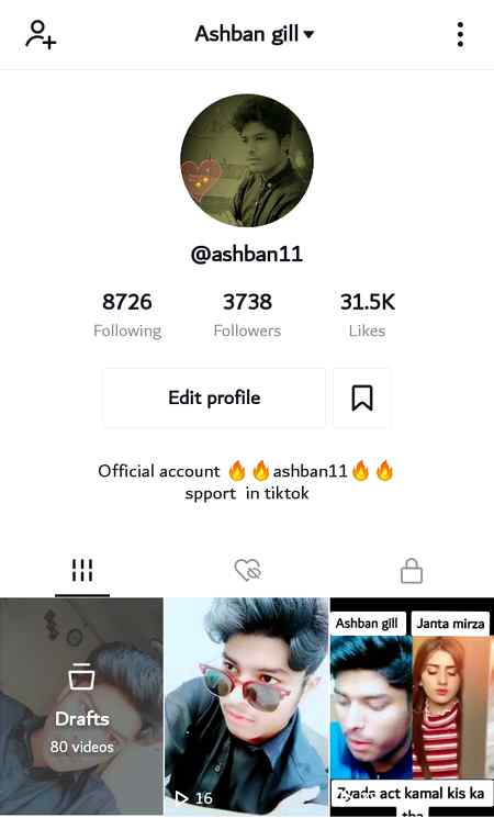 Tiktok ka be apna ke nash hi videos bnaty jo or likes lety jo or famous hoty jo