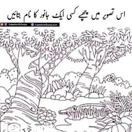 Koi 1 janwar btain