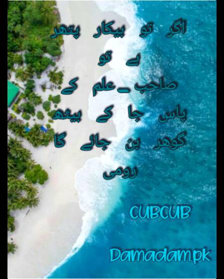 RUMI'S WORDS