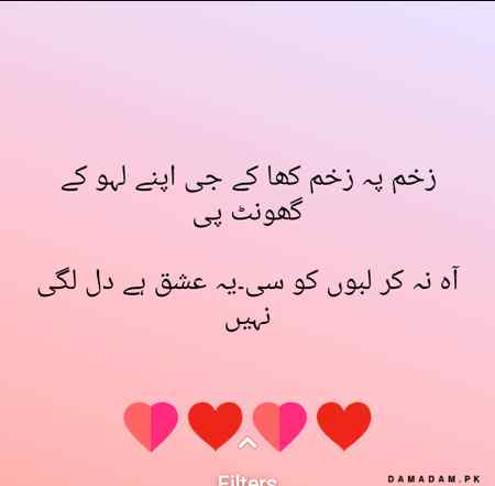 Waooo osam