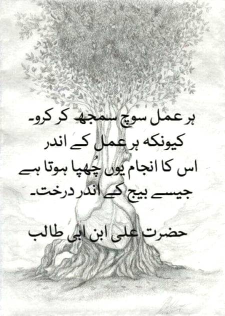 1000000Prsn true