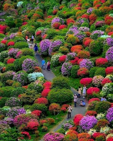 Beautifull view of tjis place