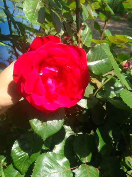 There are many people in this world who care about you, you just need to find them.