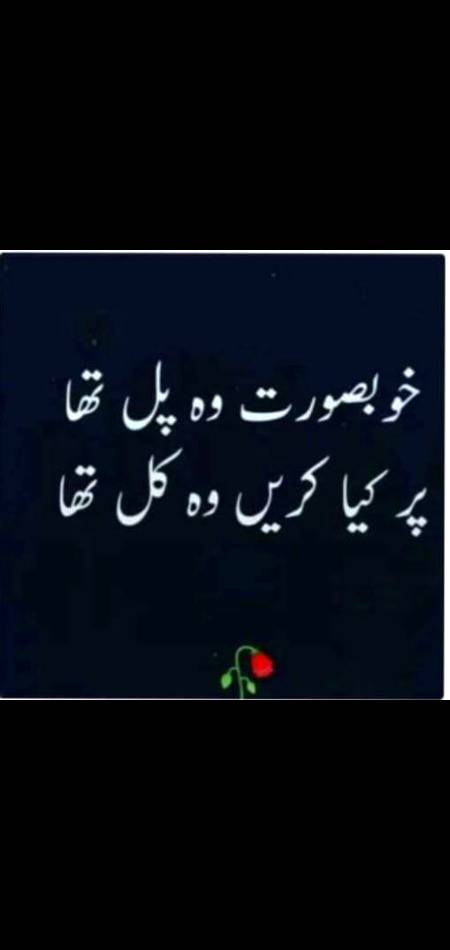 I am sorry yr plz ap wapis aajao