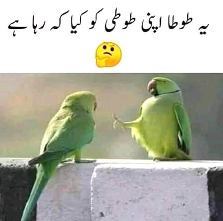 Batao,,,🙈😃😀