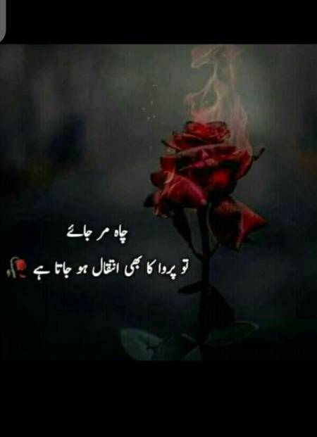 Hmm great one 🙂